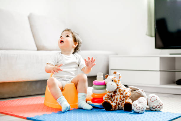 Best Portable bathroom rental  in Weweantic, MA