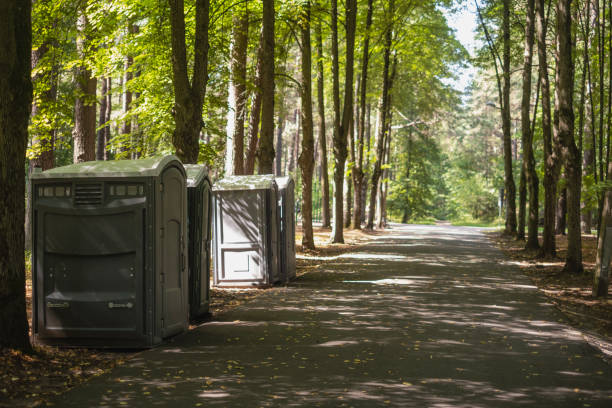 Best Luxury portable toilet rental  in Weweantic, MA